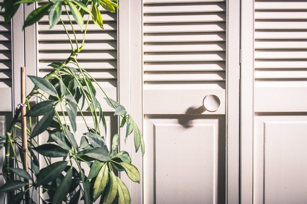 Closet door knob and plant